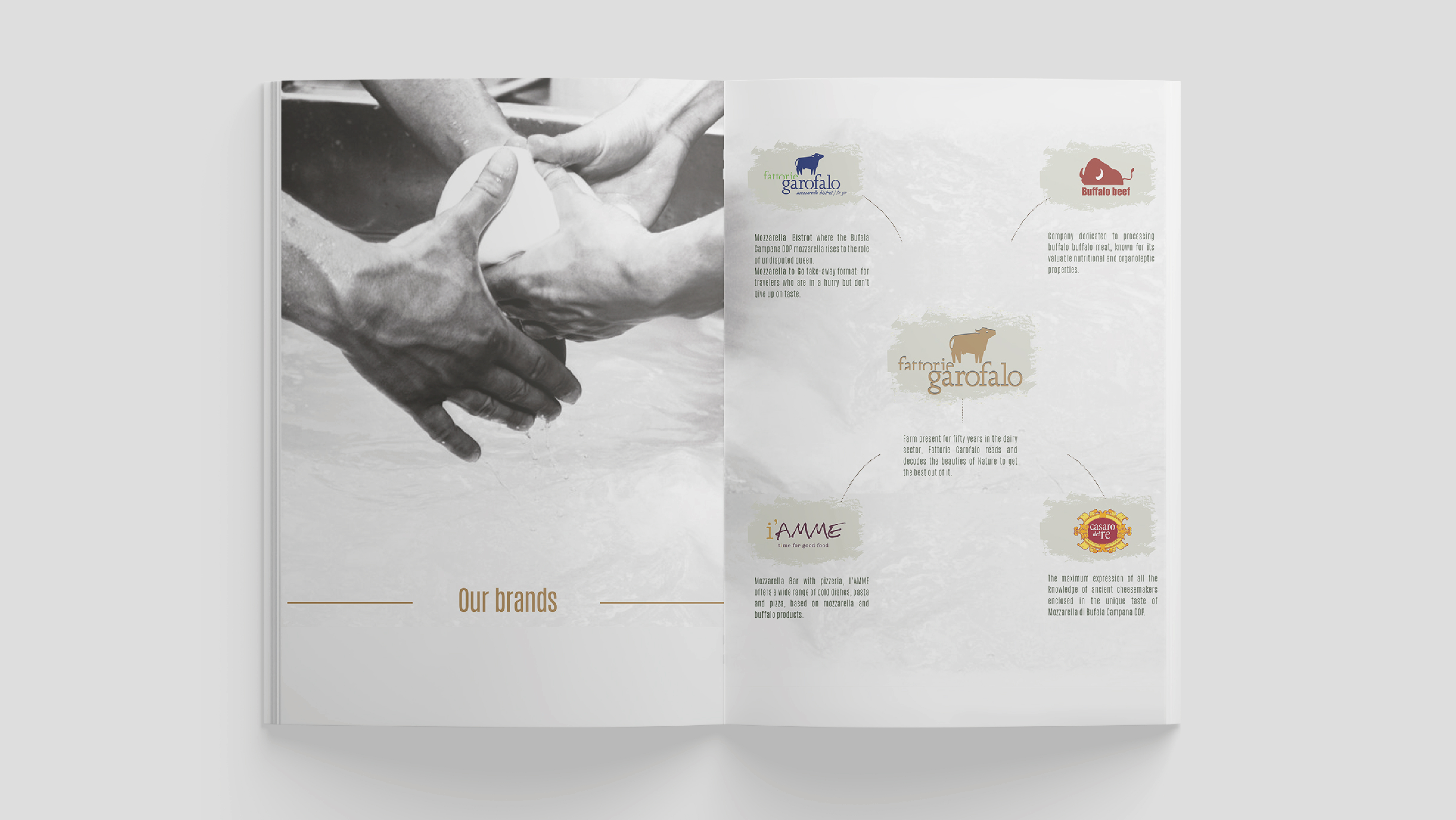 Catalogo Immagine Full