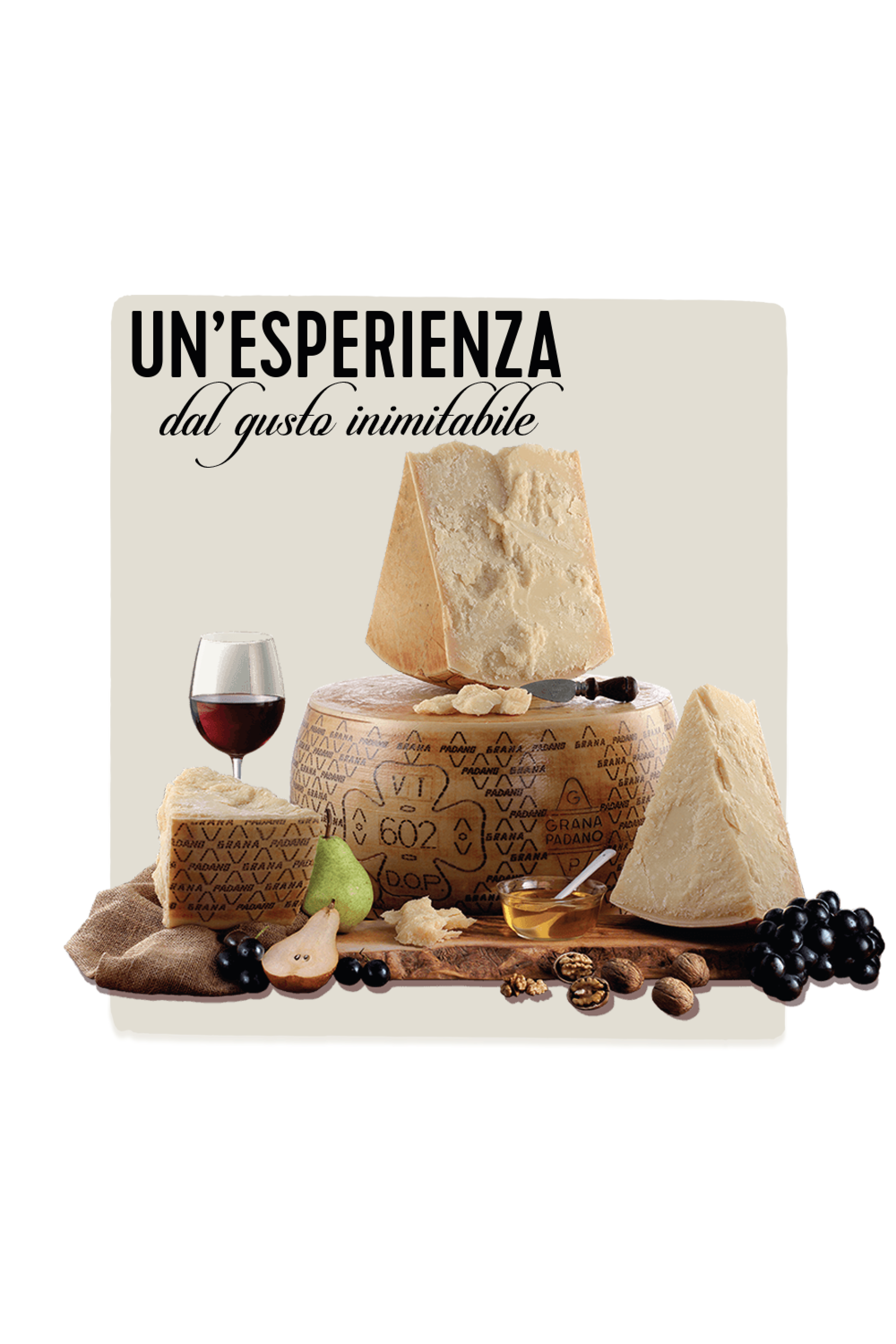 Vitagliano